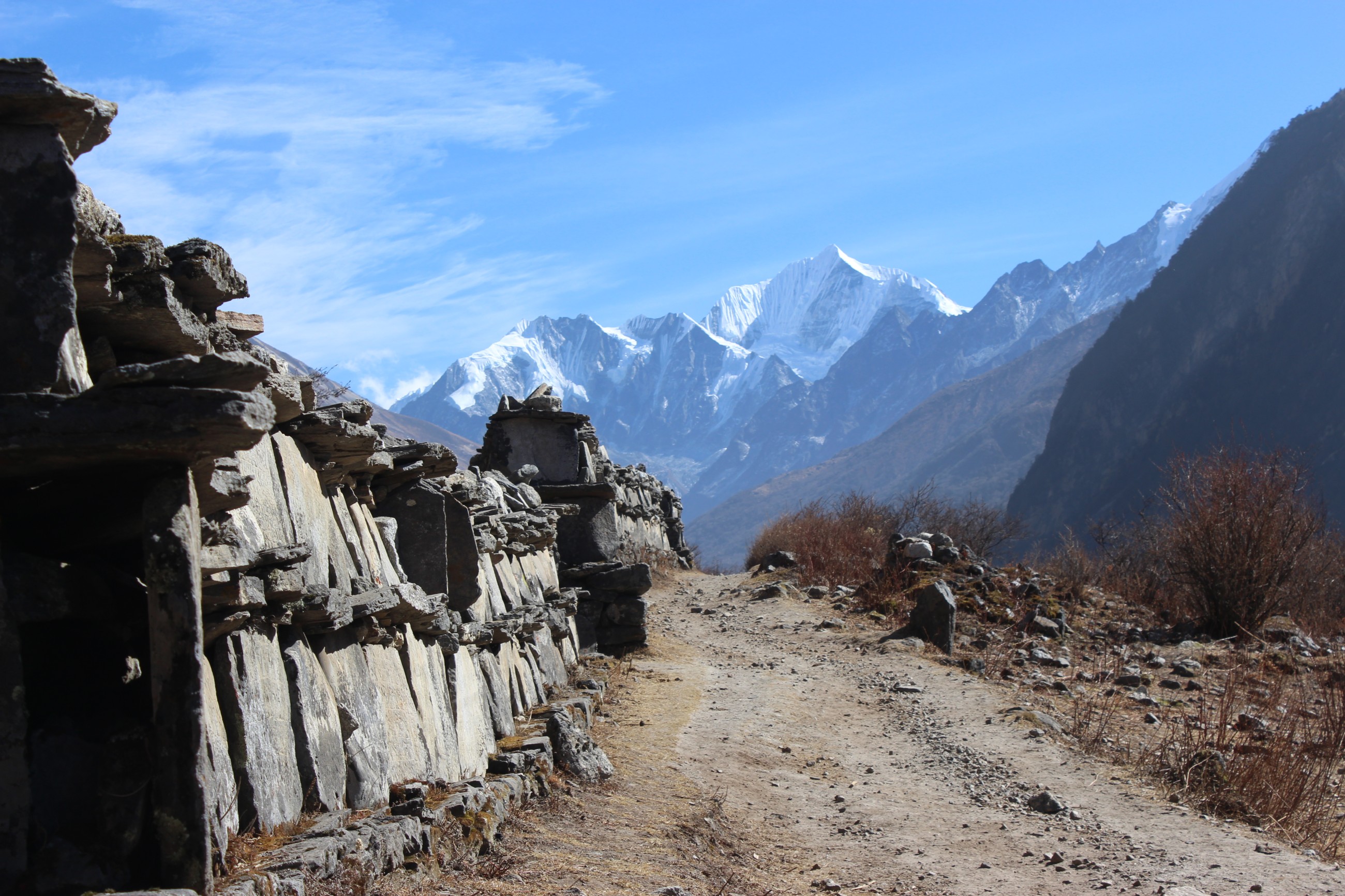 Langtang Region