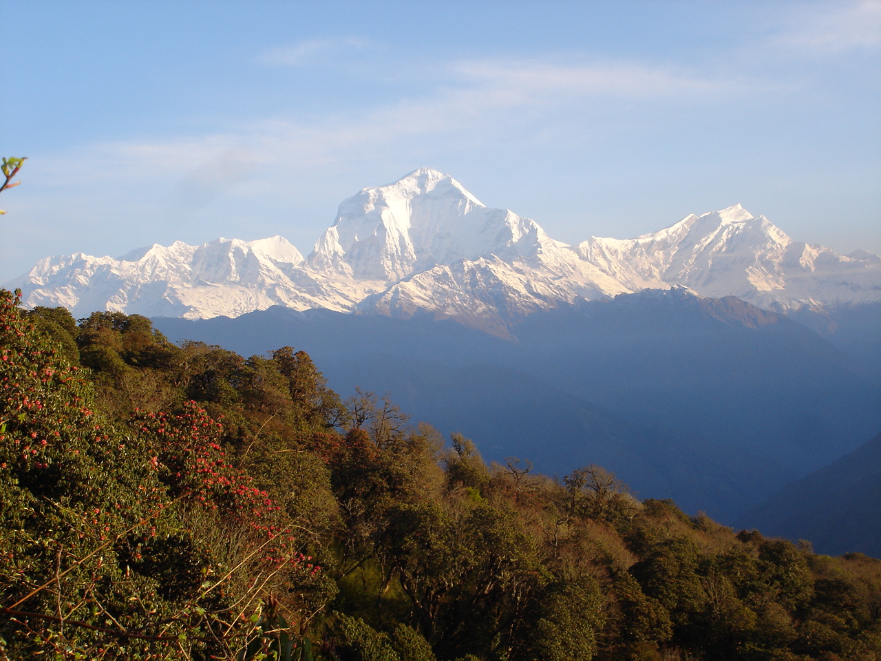 Khopra Danda Trek with Mohare danda-18 Days